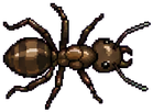 Ilustração da formiga Operária